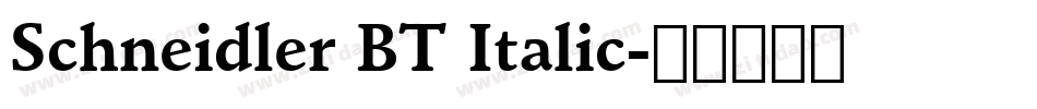 Schneidler BT Italic字体转换